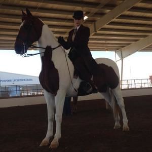 Meet your Posher, Diana